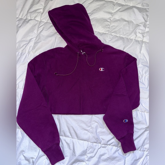 Champion, size small, cropped hoodie. - Picture 1 of 1
